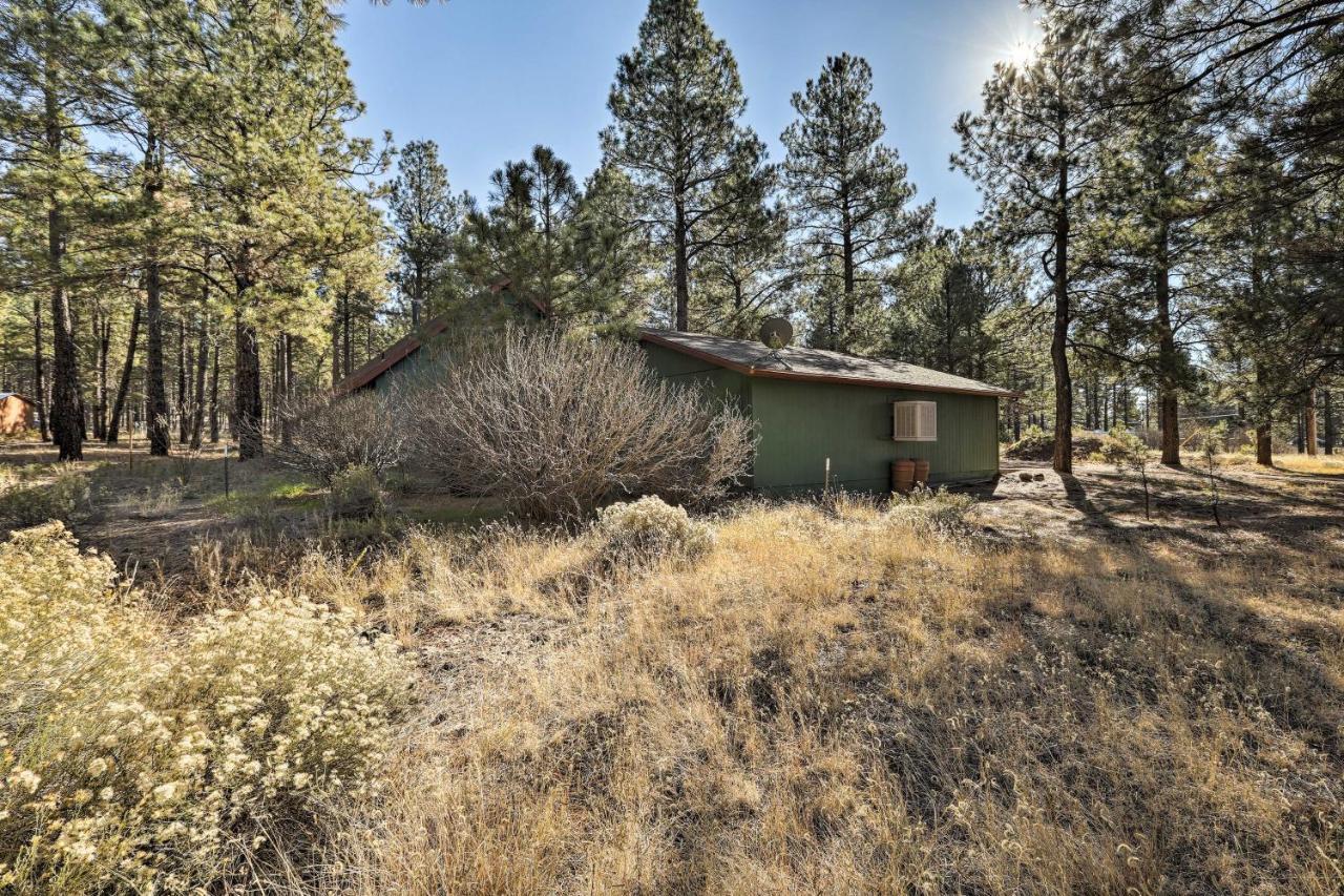 Family-Friendly Forested Home With Snow Play Area! Flagstaff Exterior foto